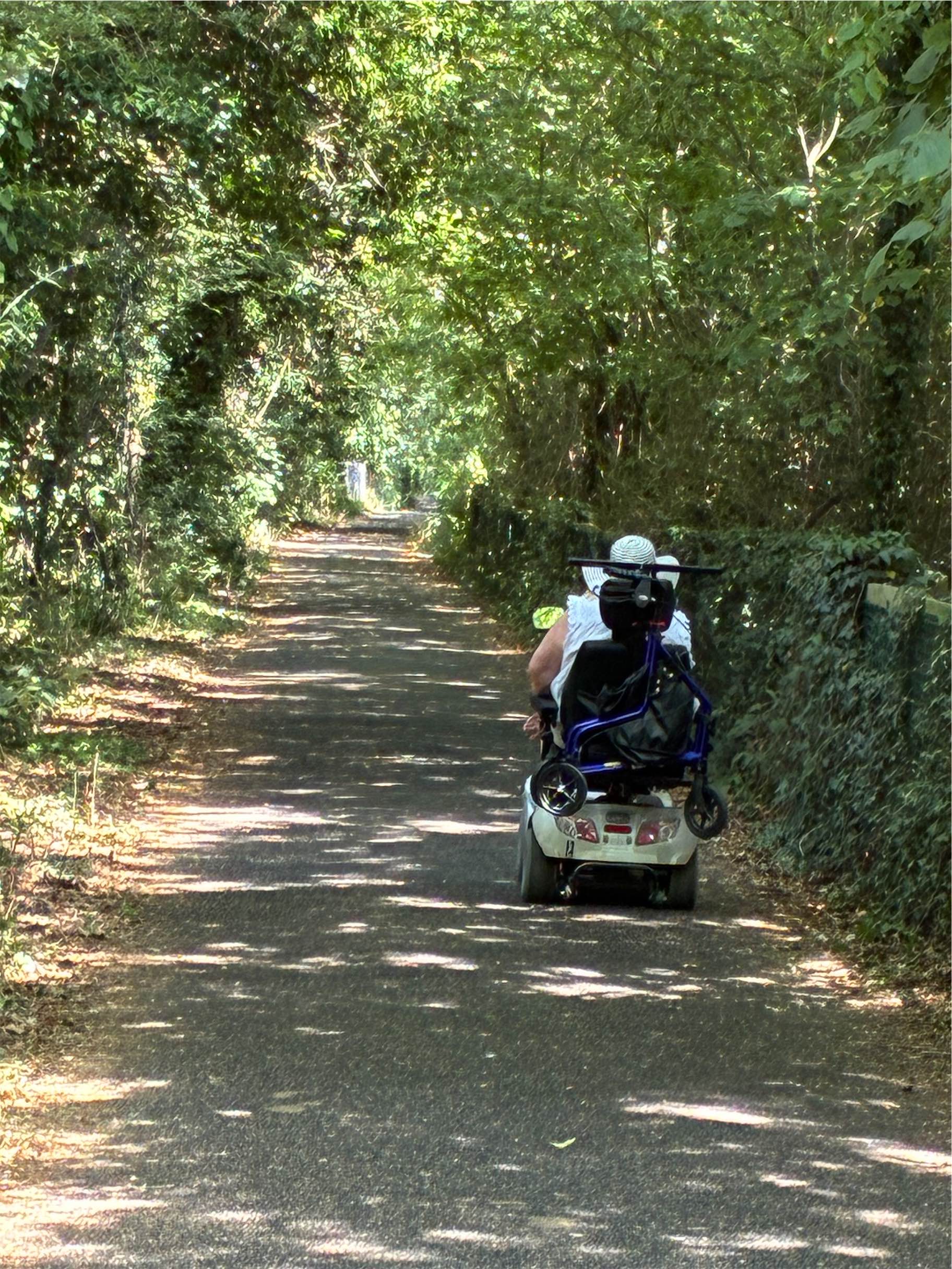  The surface of the path makes it more accessable 