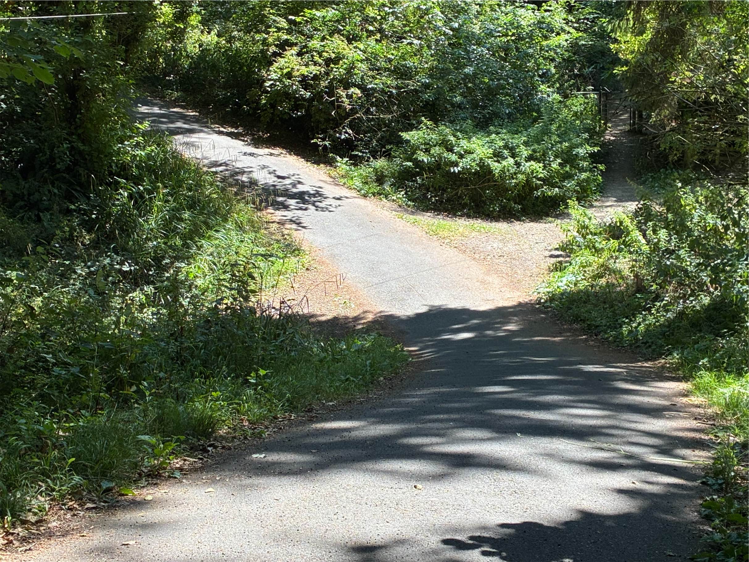  Most of the trail is flat but there is an occational dip. 