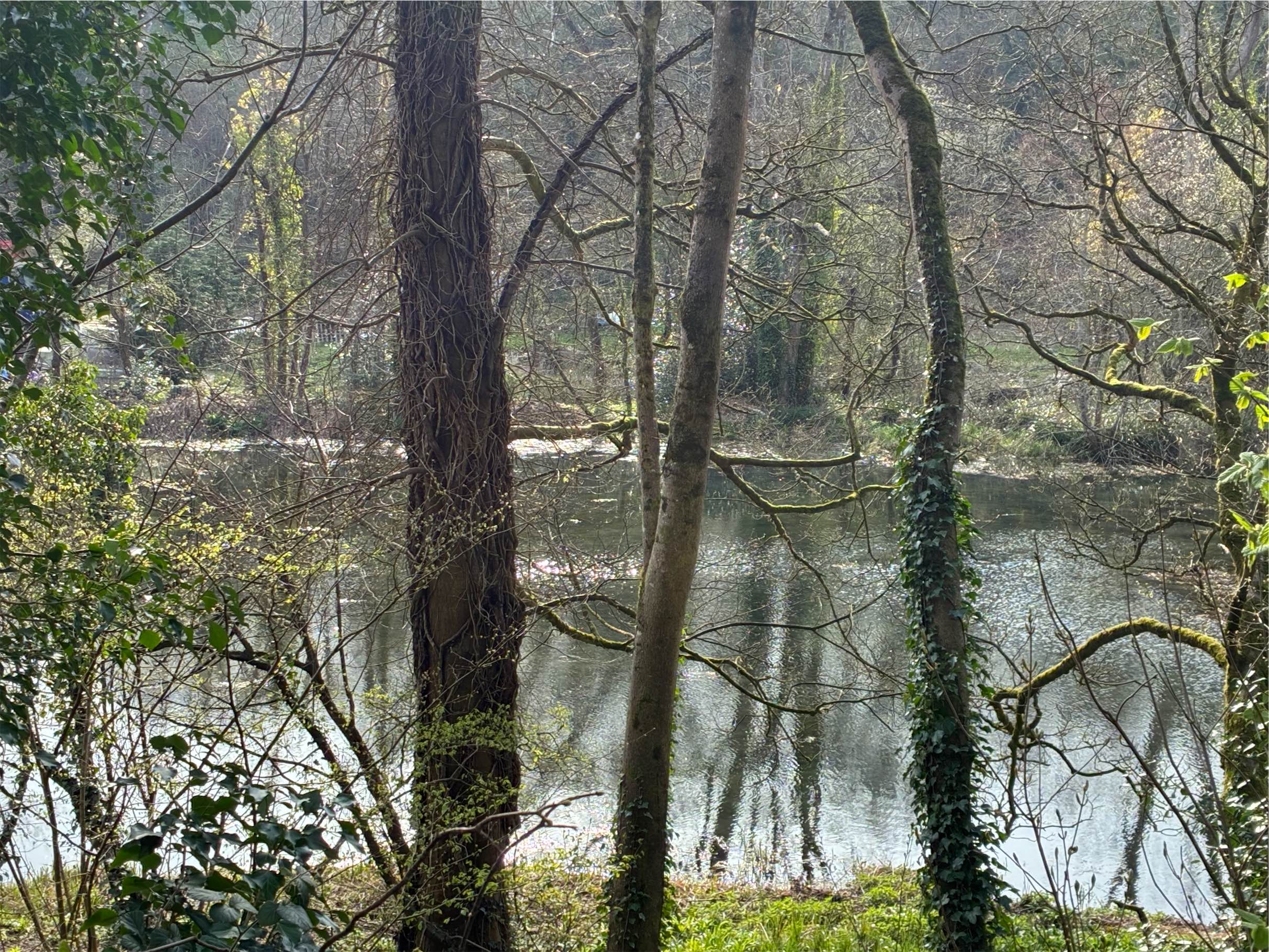  and Dunkirk Mill and its mill ponds, before arriving at Nailsworth. 