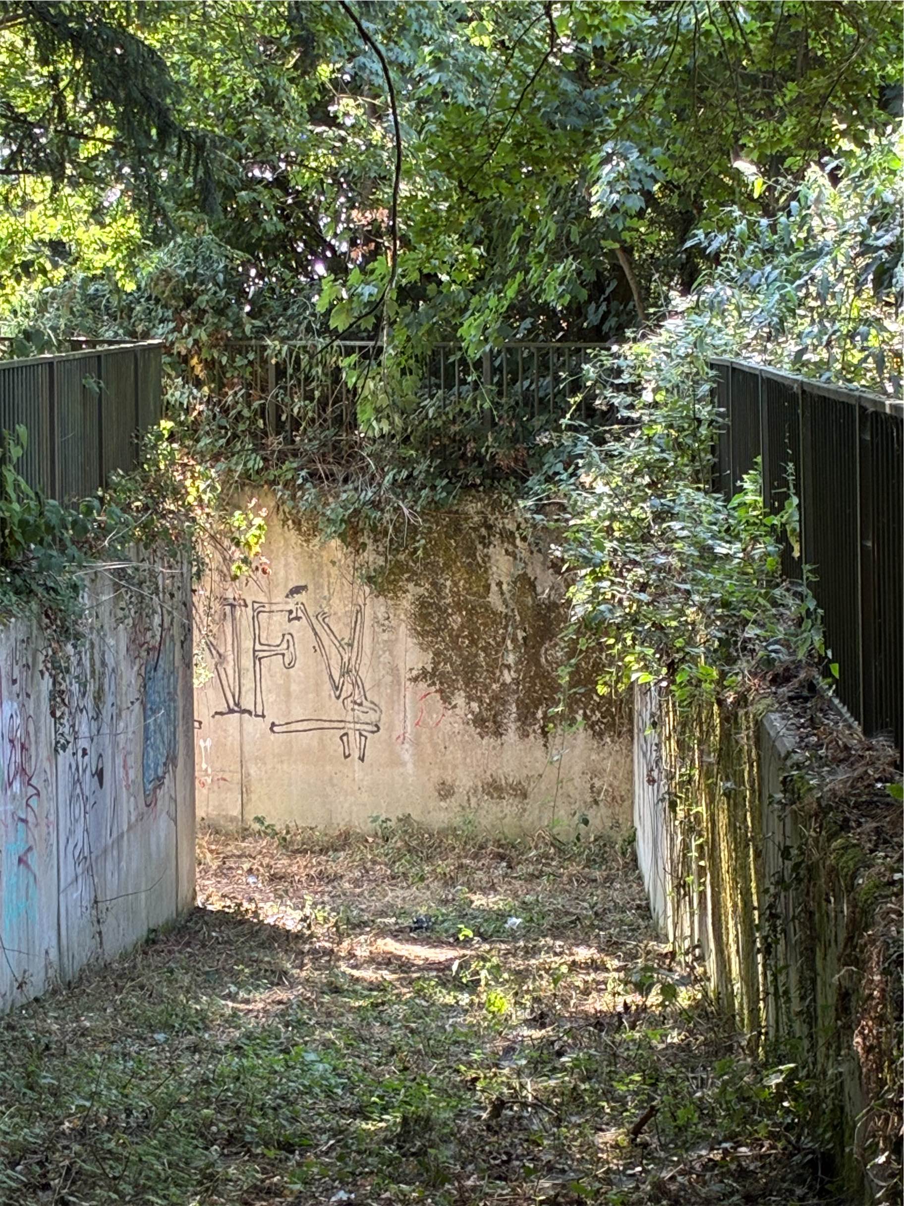  A fenced off route under the A419 