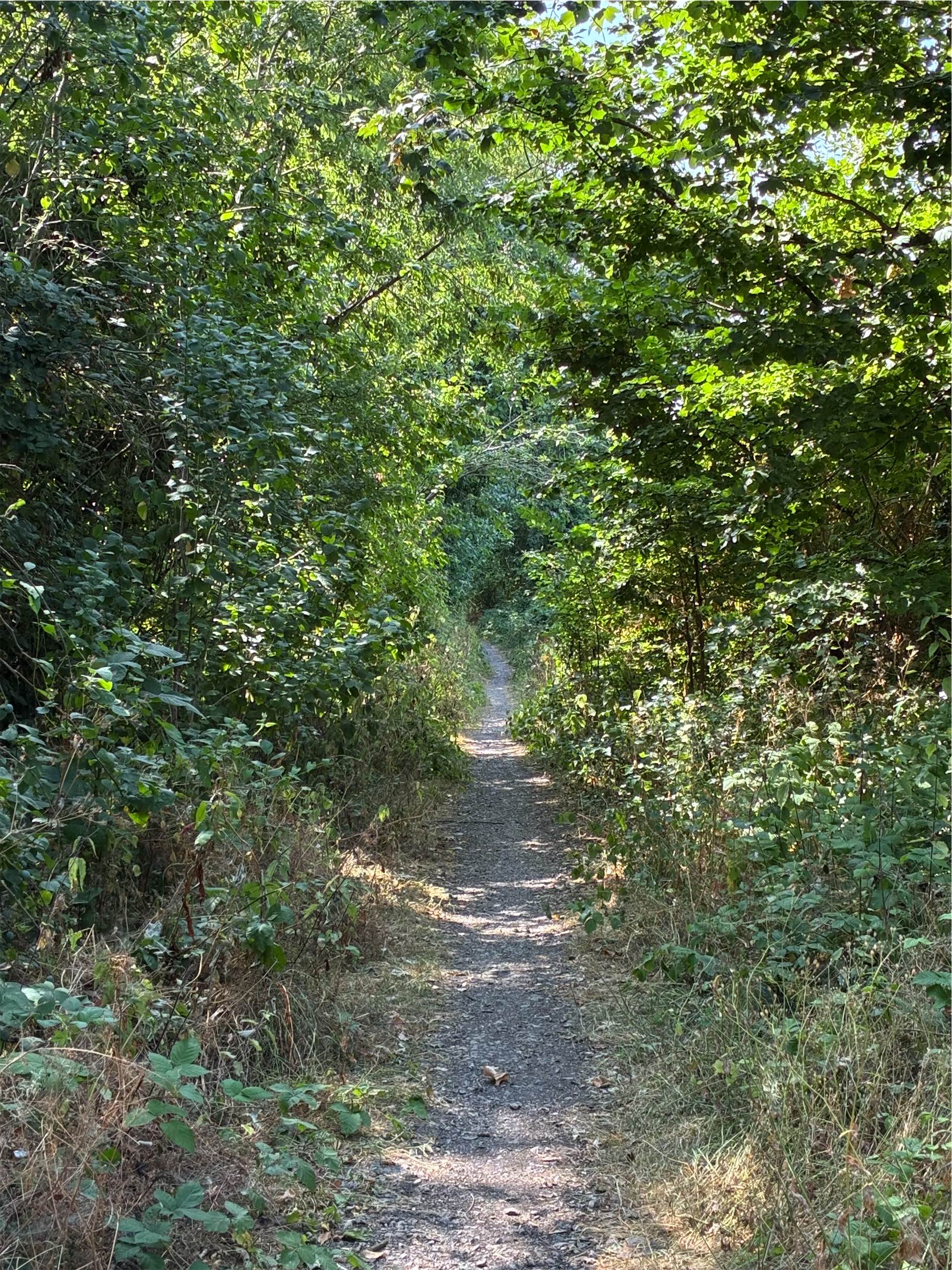  A narrow section of the trail approaching Stonehouse. 
